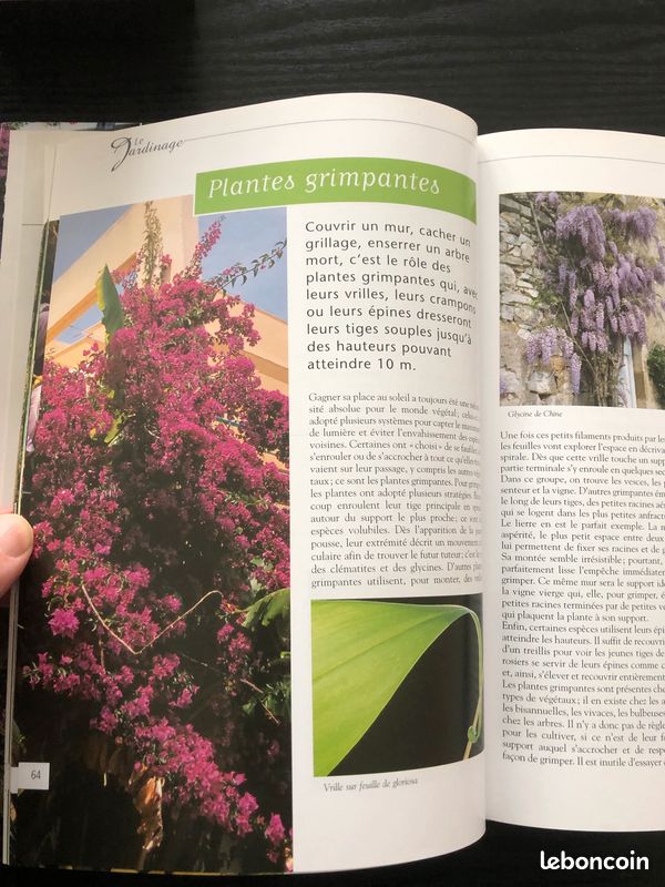 Le jardinage, simple et pratique (image 4)