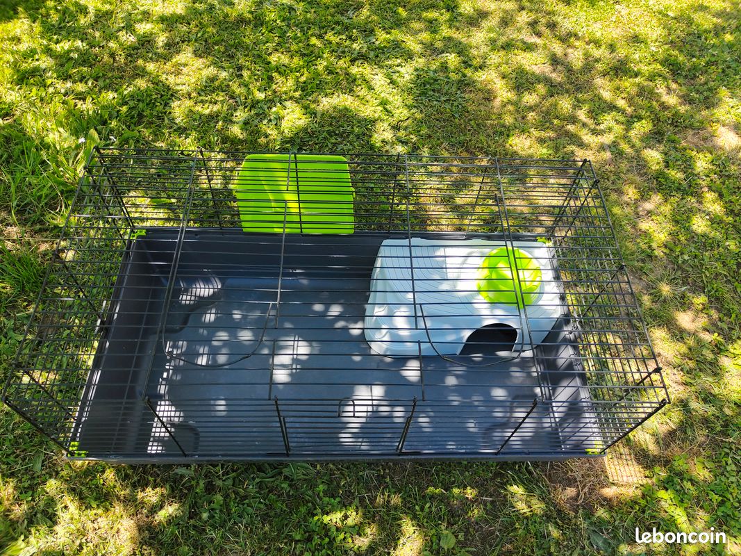 Cage à cochon d'Inde, lapin , hamster et autres animaux (image 3)
