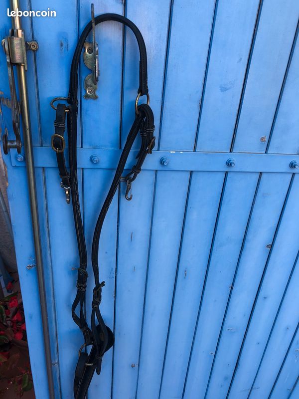 Lot affaires équitation (image 10)