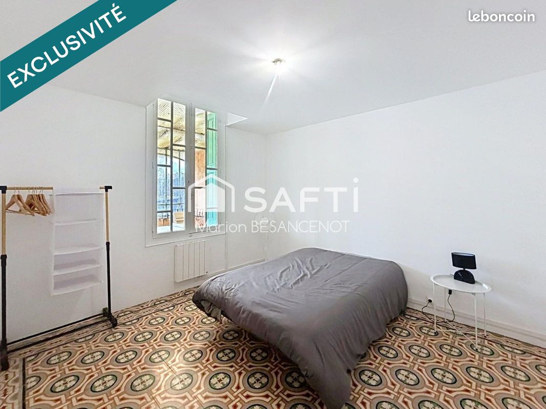 Immeuble 200 m² SAINT-PAUL-DE-FENOUILLET (image 9)