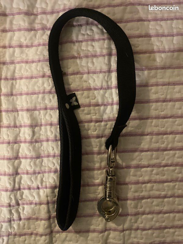 Laisse courte pour chien (image 1)