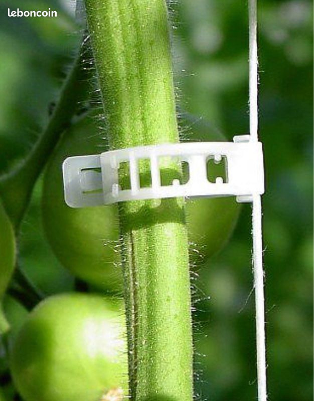 200 Clips Support Plantes Tomates – Réutilisables PP Pour Tomates, Roses, Légumes Grimpants Jardin