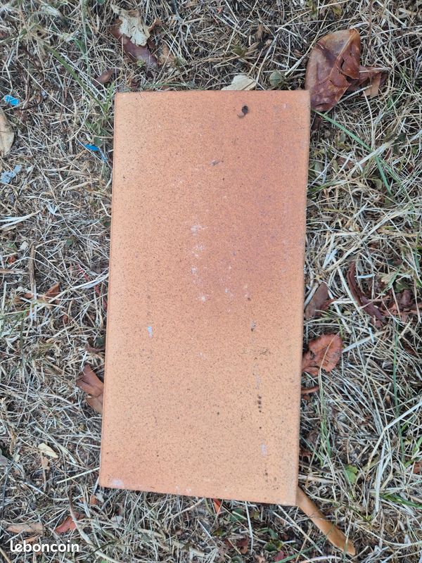 Carrelage ancien (image 2)