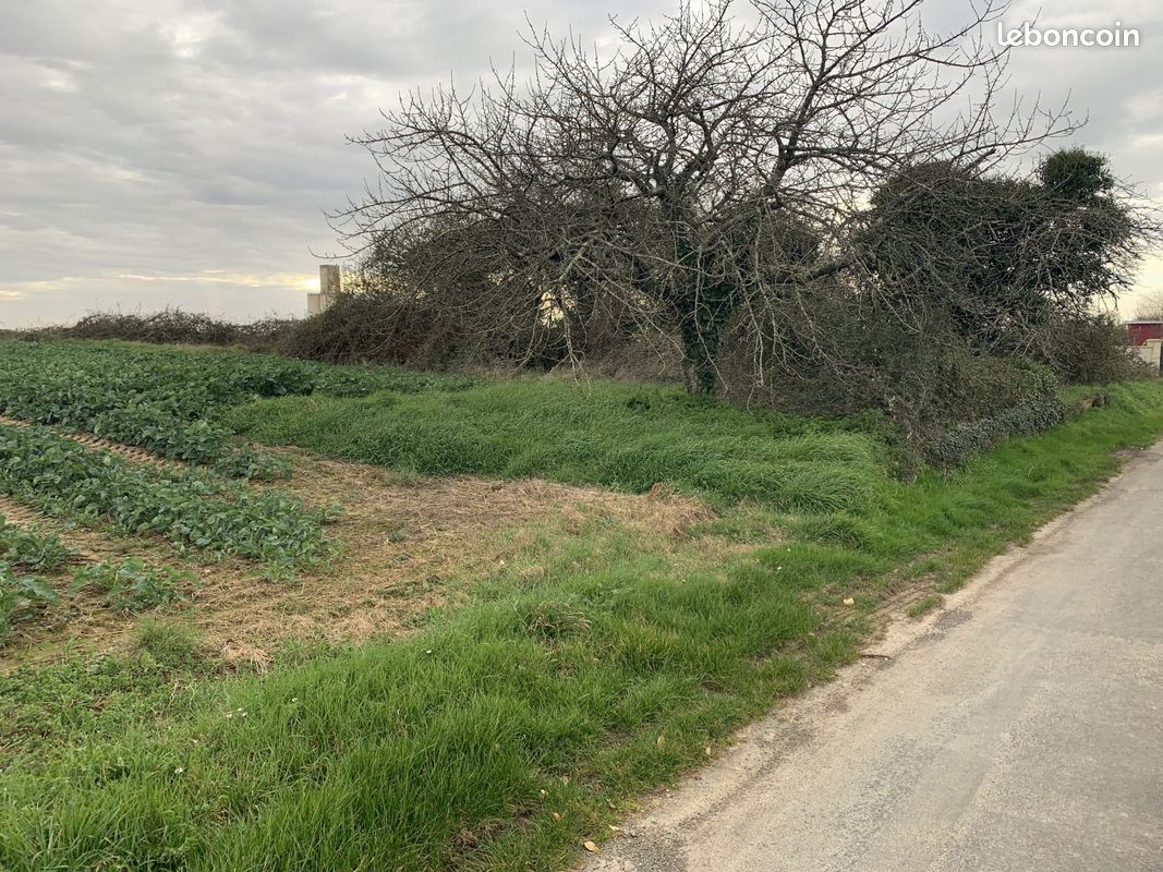 Terrain à bâtir de 559 m2 au prix de 25500 à PLASSAY (17) · 25 500 €
