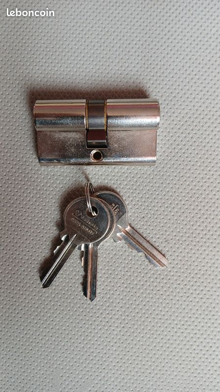 Cylindre de porte 30x30 Vachette ASSA ABLOY (image 3)