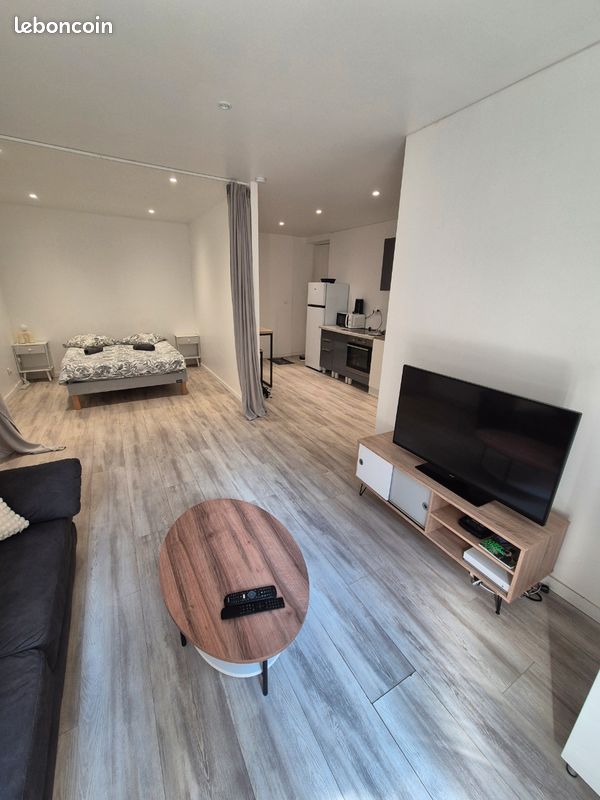 Appartement 1 pièce 35 m² · à Saint-Étienne · 35 m² · 470 €/mois