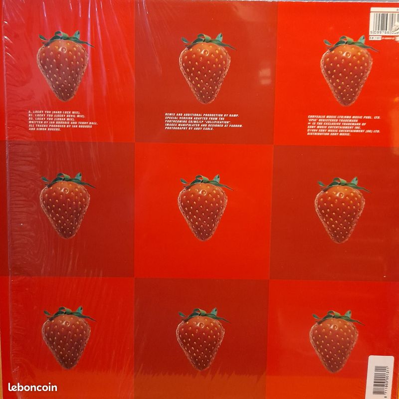 Lightning seeds - maxi 45t vinyle (image 2)