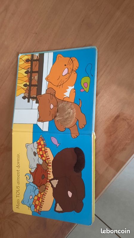 Livre les Chatons (image 6)