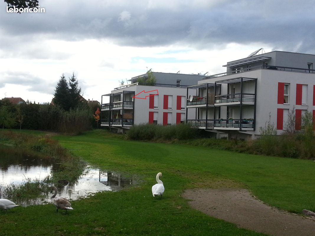 Appartement 3 pièces 60 m² · à Lipsheim · 60 m² · 750 €/mois