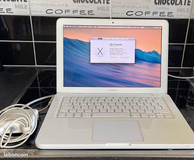 APPLE Macbook 13 pouces mi-2010 (MacBook7,1) A1342 (image 1)