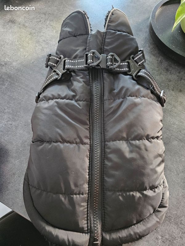 Manteau petit chien neuf (image 2)