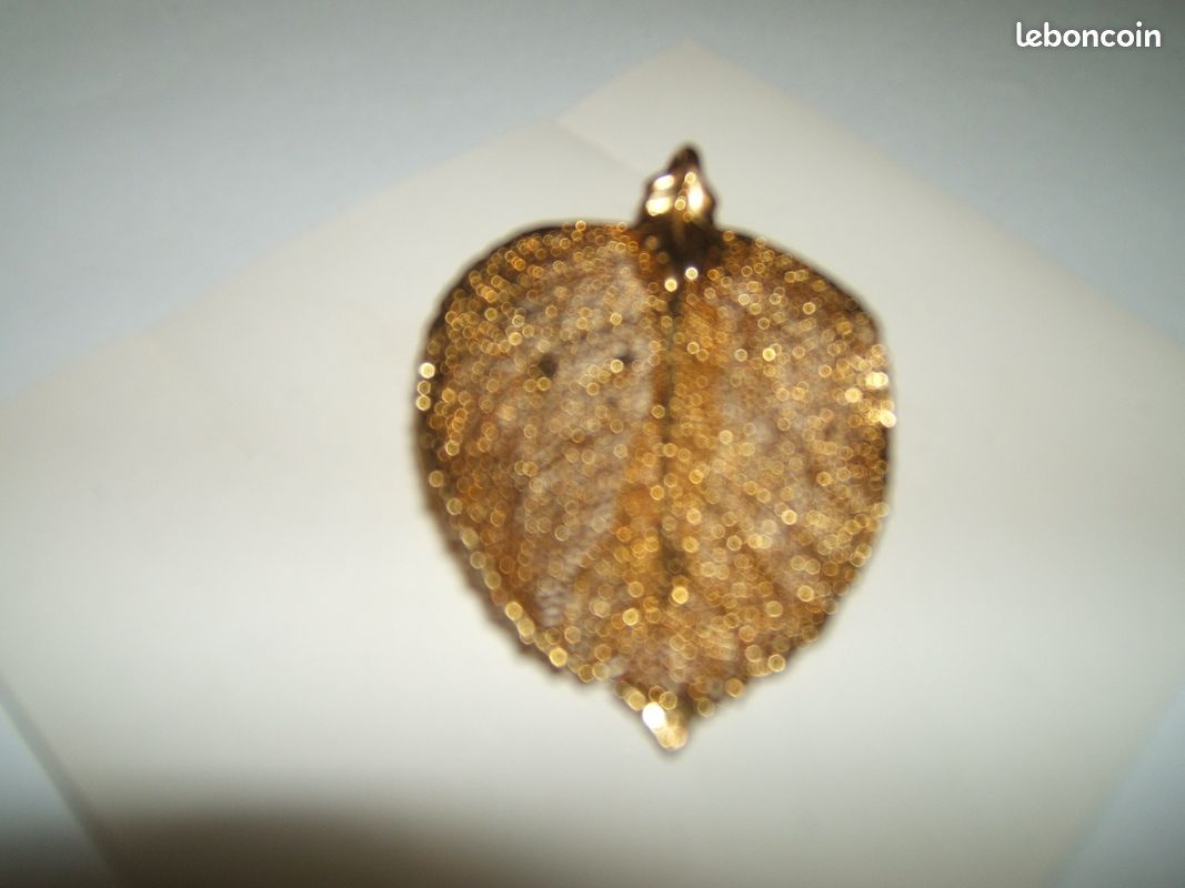 Bijoux de feuilles naturelles (image 3)