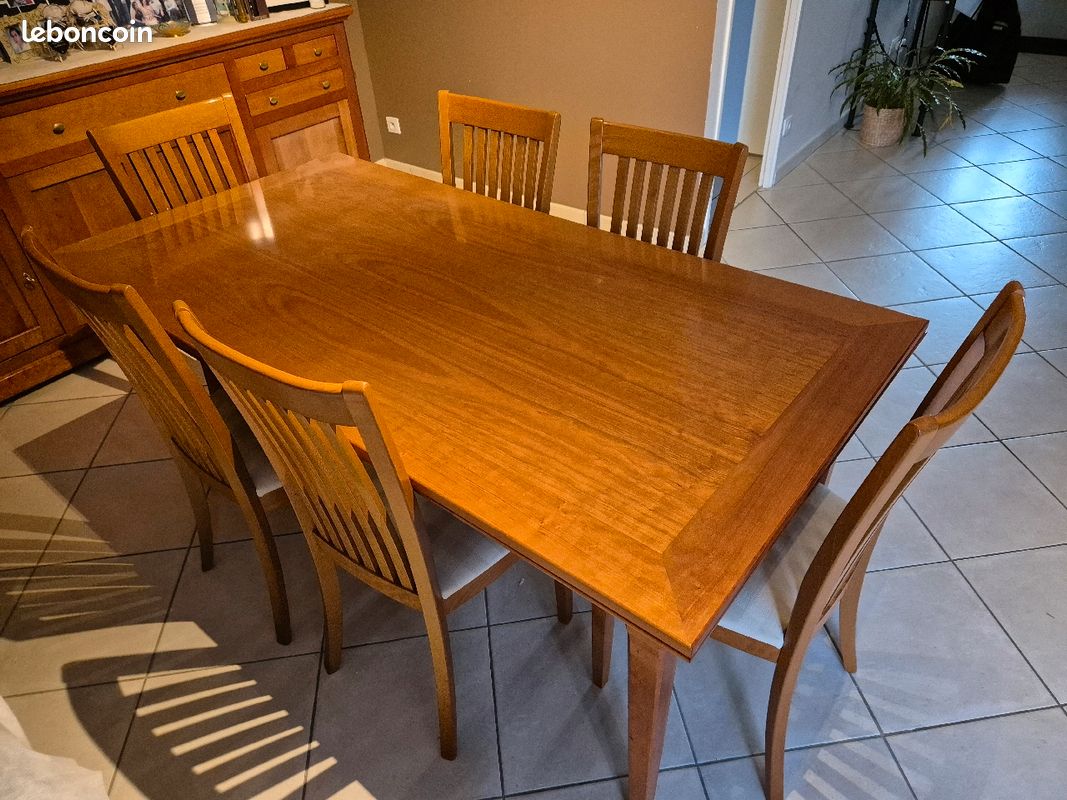 Table + chaises (image 1)