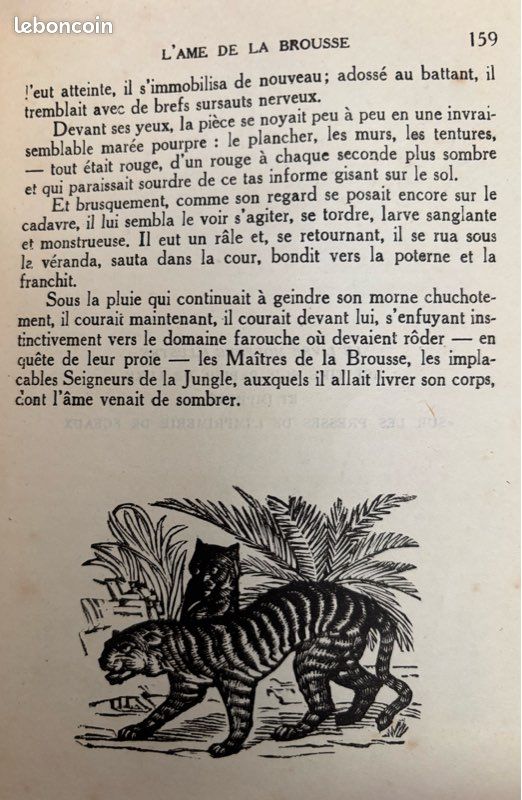 « L'AME DE LA BROUSSE. » de Jean D’Esme. Bois originaux de Cosyns. Édition Le Livre Moderne Illustré (1925) (image 11)