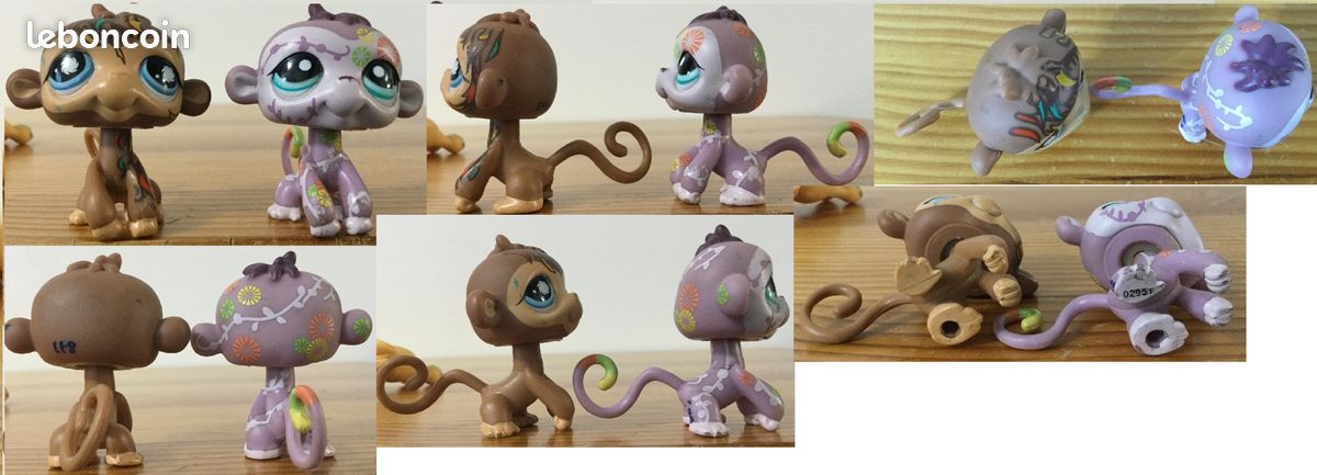 Littlest Pet Shop #2194 Chat européen Shorthair cat