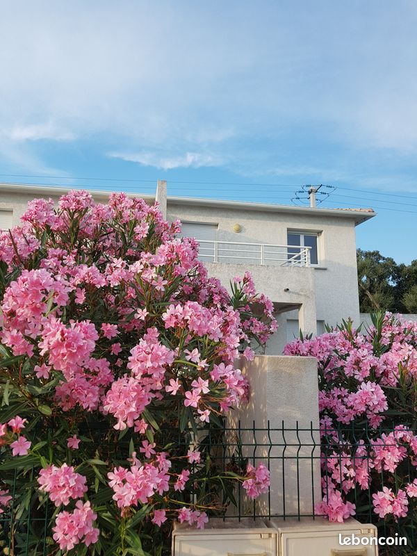 Appartement 3 pièces 70 m² · à Ghisonaccia · 70 m² · 820 €/mois
