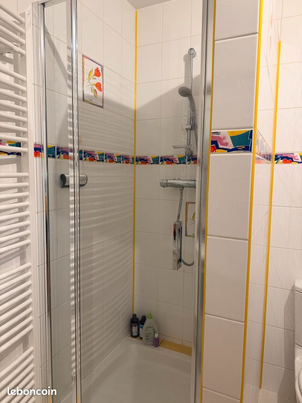 Porte de douche pivotante Vismara (image 1)