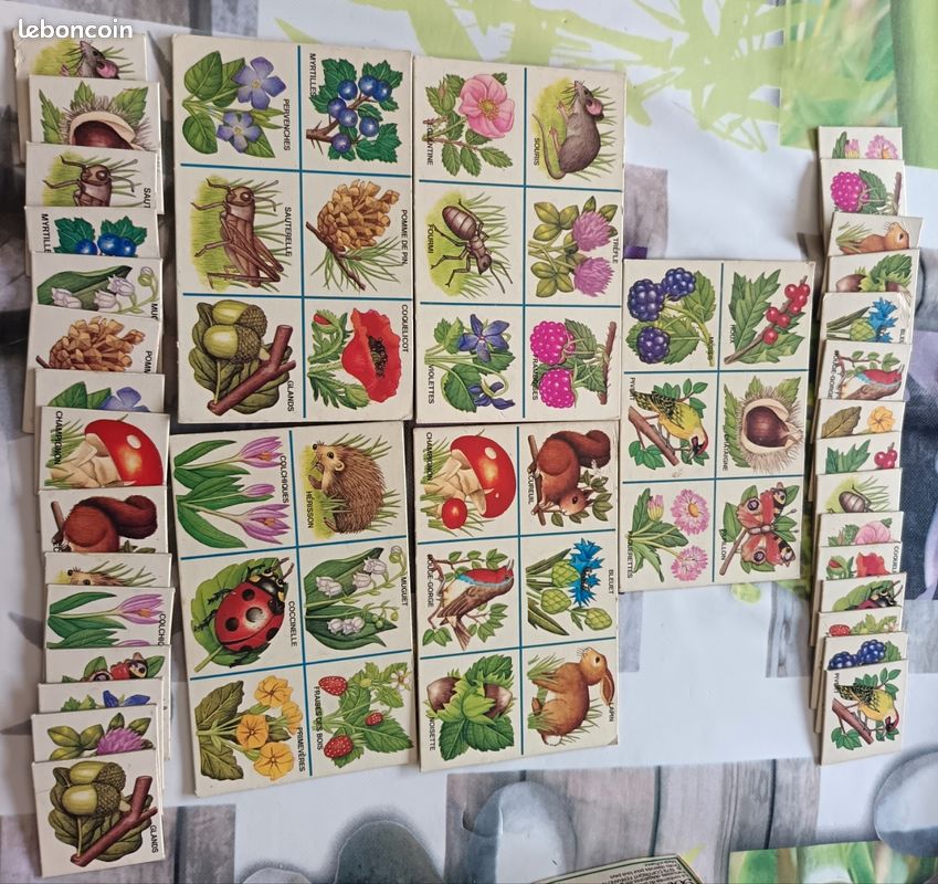 Loto ''Bois et Champs'' (image 1)