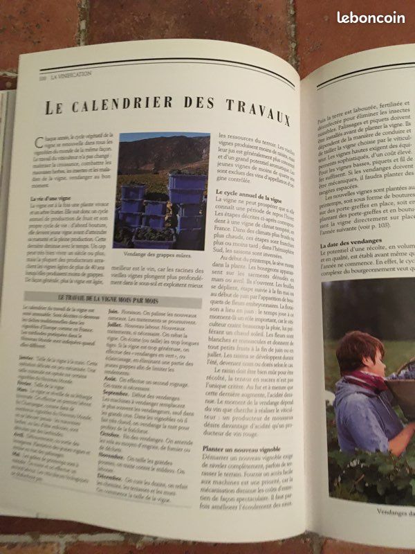 Larousse des vins (image 2)
