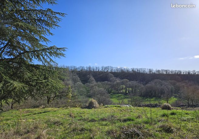 Terrain 1 pièce 3000 m²