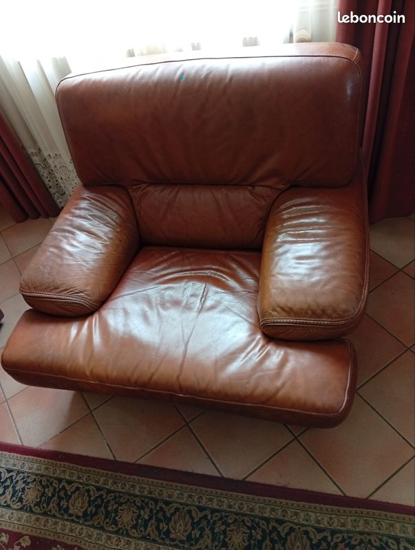 Fauteuils en cuir (image 1)