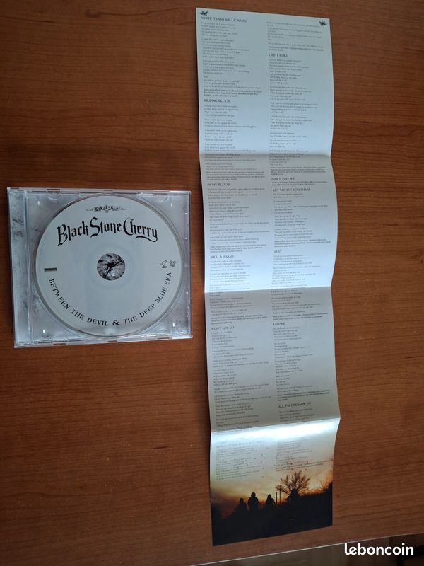 Cd Black Stone Cherry Between the devil & the deep blue sea (image 4)