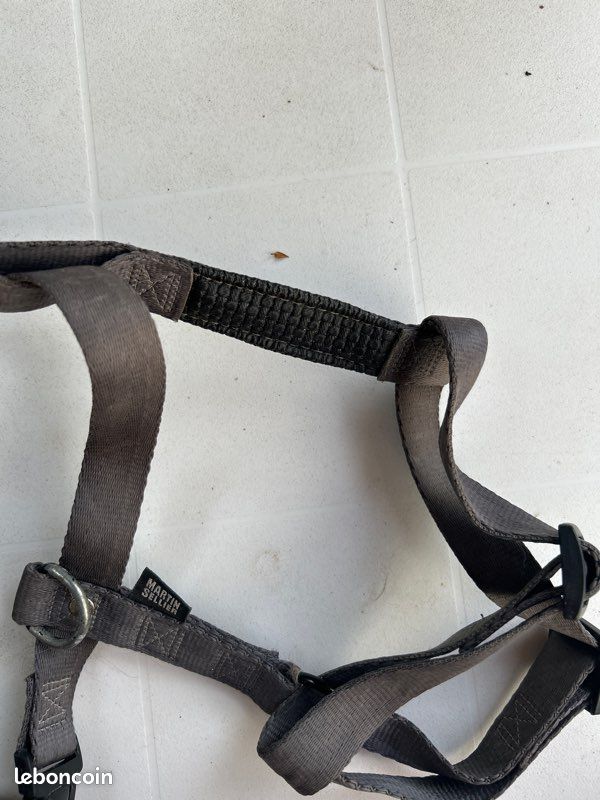 Harnais Martin Sellier pour chiot (race grand chien) ou chien petit a moyen (image 3)