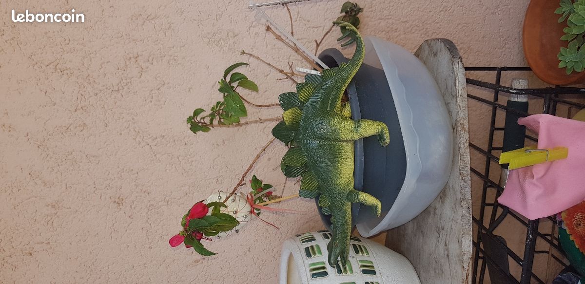 Dinosaure (image 4)