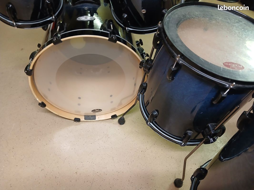 Pearl Vision Birch Shell (image 3)