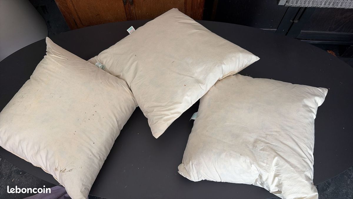 Lot De 2 Oreillers En Plumes – 30x50 Cm – 100% Coton – Respirable Et Lavable
