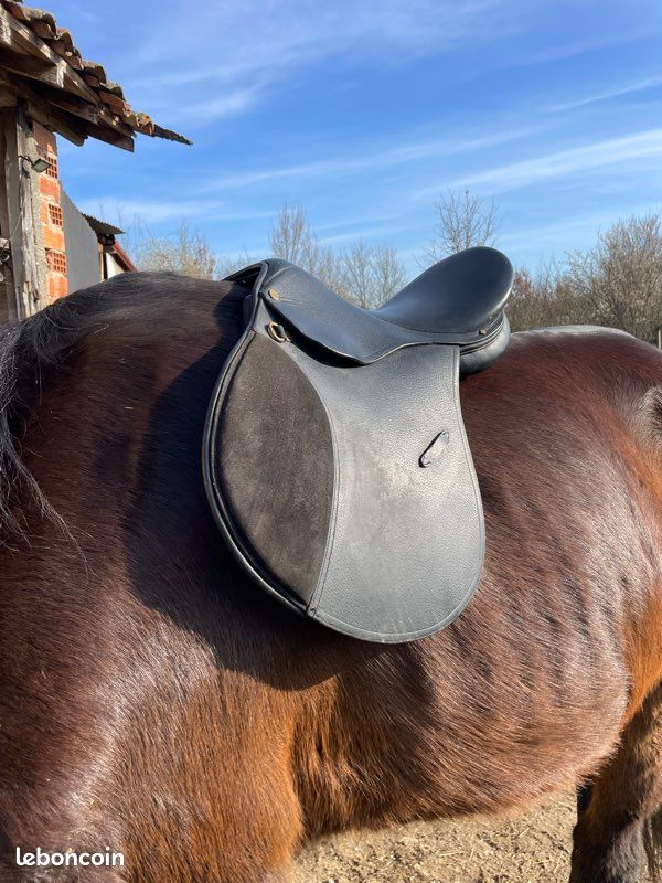 Selle mixte en cuir Terry’s de 17 pouces (image 1)