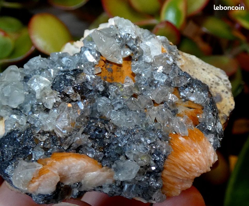Baryte Cérusite Galène Mibladen 6x4.5cm Maroc minéraux collection pierre rare M98 (image 1)