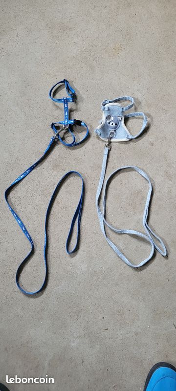 Cage lapin (image 3)