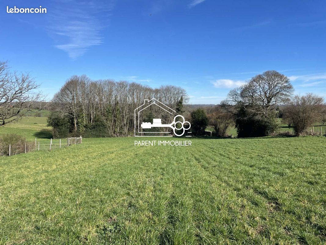 Terrain 3329 m² Saint-Agnant-de-Versillat (image 1)