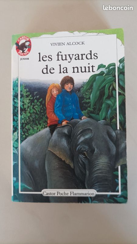 Les fuyards dans la nuit (image 1)