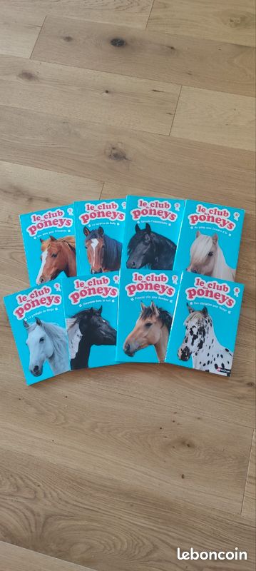 Petit roman de poche pour enfants de 6 a 9 ans (image 1)