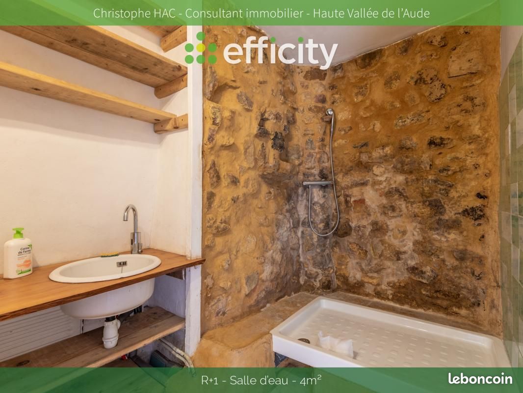 Maison 15 pièces 280 m² (image 11)