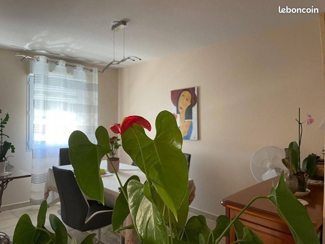 Appartement 3 pièces 83 m² (image 4)