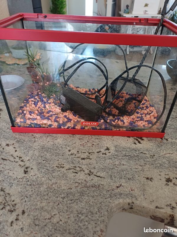 Aquarium et accessoirs (image 1)