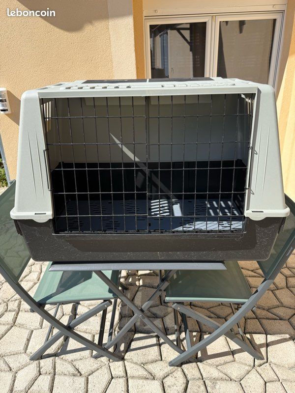 Caisse de transport pour chien (image 1)