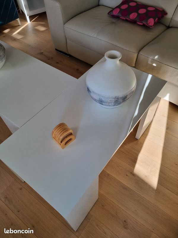 Vend table de salon (image 1)