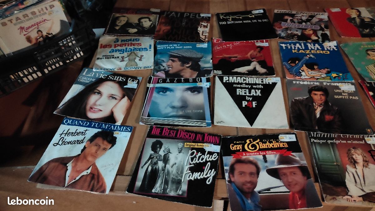 Vends vinyles 33 et 45 tours doit partir rapidement (image 3)