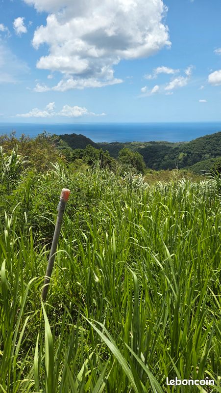 Terrain constructible · à Le Morne-Vert · 147 000 €