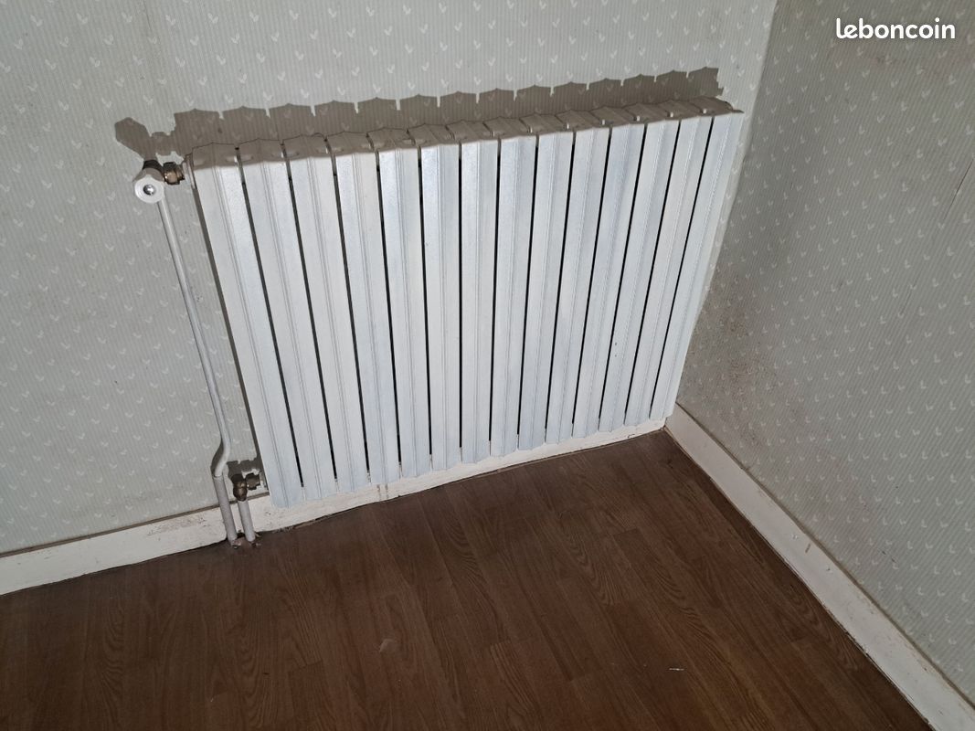 Chaudière gaz+radiateur (image 2)