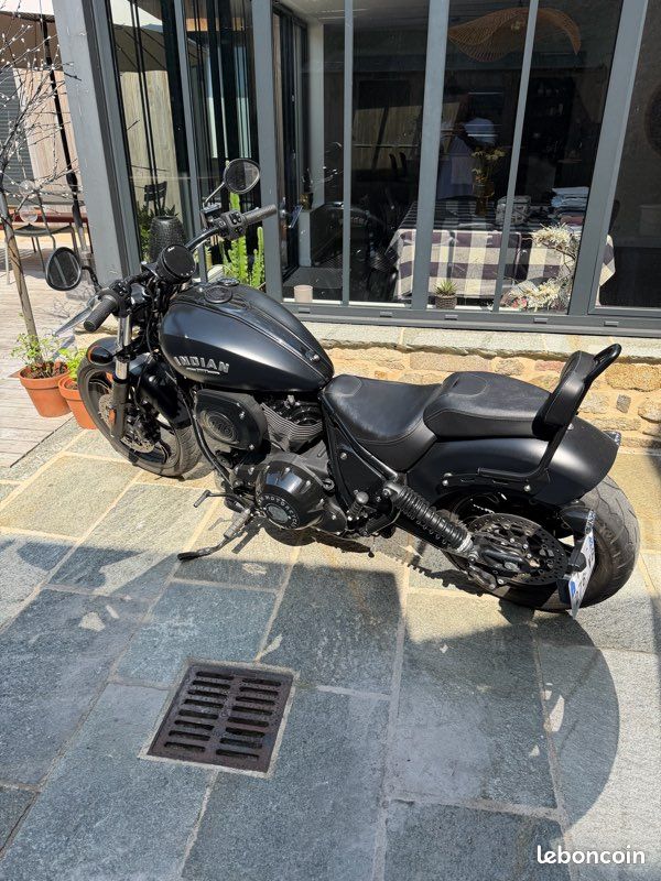 Indian chief dark horse (image 2)