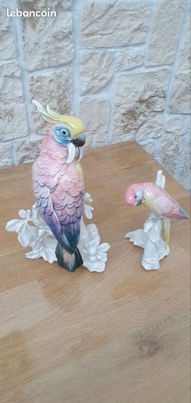 Perroquets 0 (image 1)