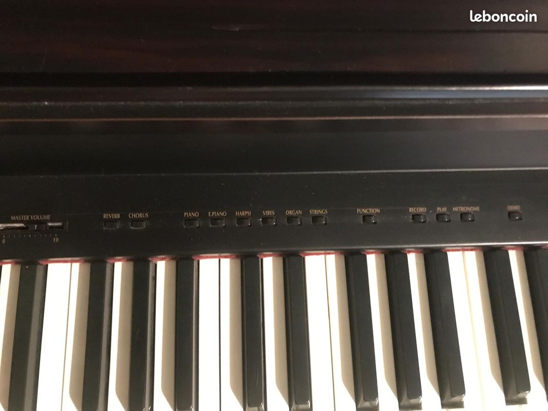 Piano numérique KORG concert EC100H (image 3)