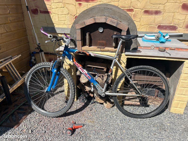 Brooks Cambium Selle Brooks Occasion Le Bon Coin Bicicletas Velo