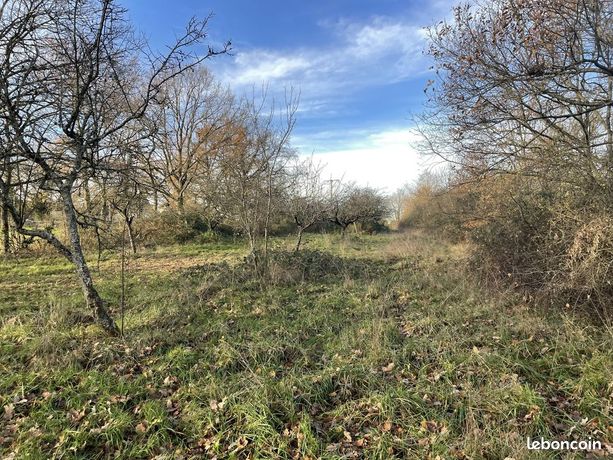 Terrain 2 960 m² Saint Sylvestre Pragoulin
