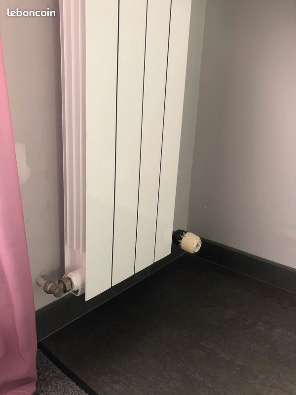 Radiateur ACOVA FASSANE blanc laqué (image 2)